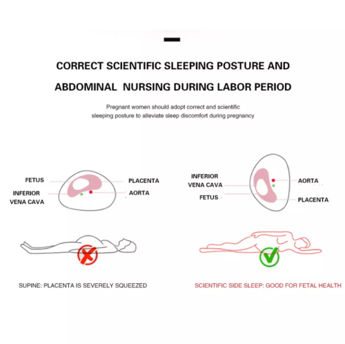 U-Shaped Pregnancy Pillow | Maternity Support Back Hips Belly Sleeping Comfort | Lumu UK